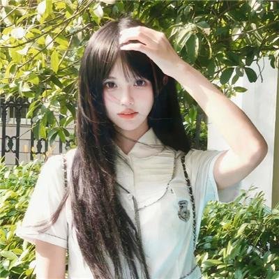 南极物语